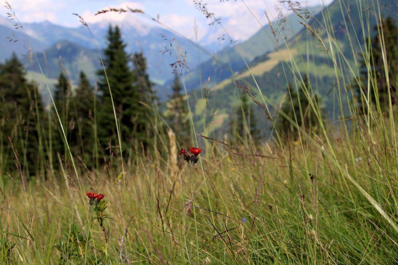 Ferienwohnung Tauernblick Unterletzen Zewnętrze zdjęcie